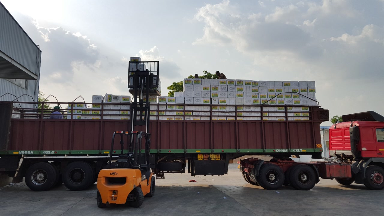 1727149356614999.jpg 061.jpg